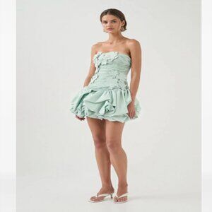 Aje Elvira Floral Applique Strapless Ruched Mini Dress